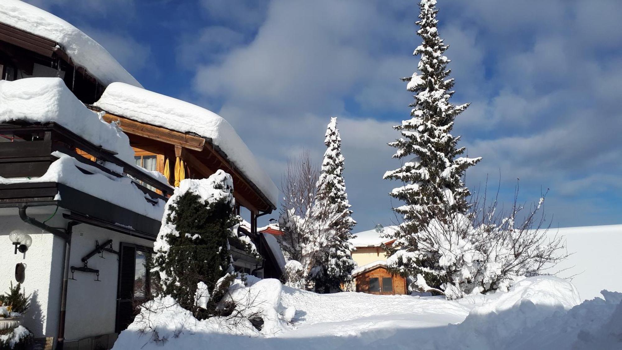Hotel - Pension - Heidelberg Inkl. Chiemgaukarte Ruhpolding Zewnętrze zdjęcie